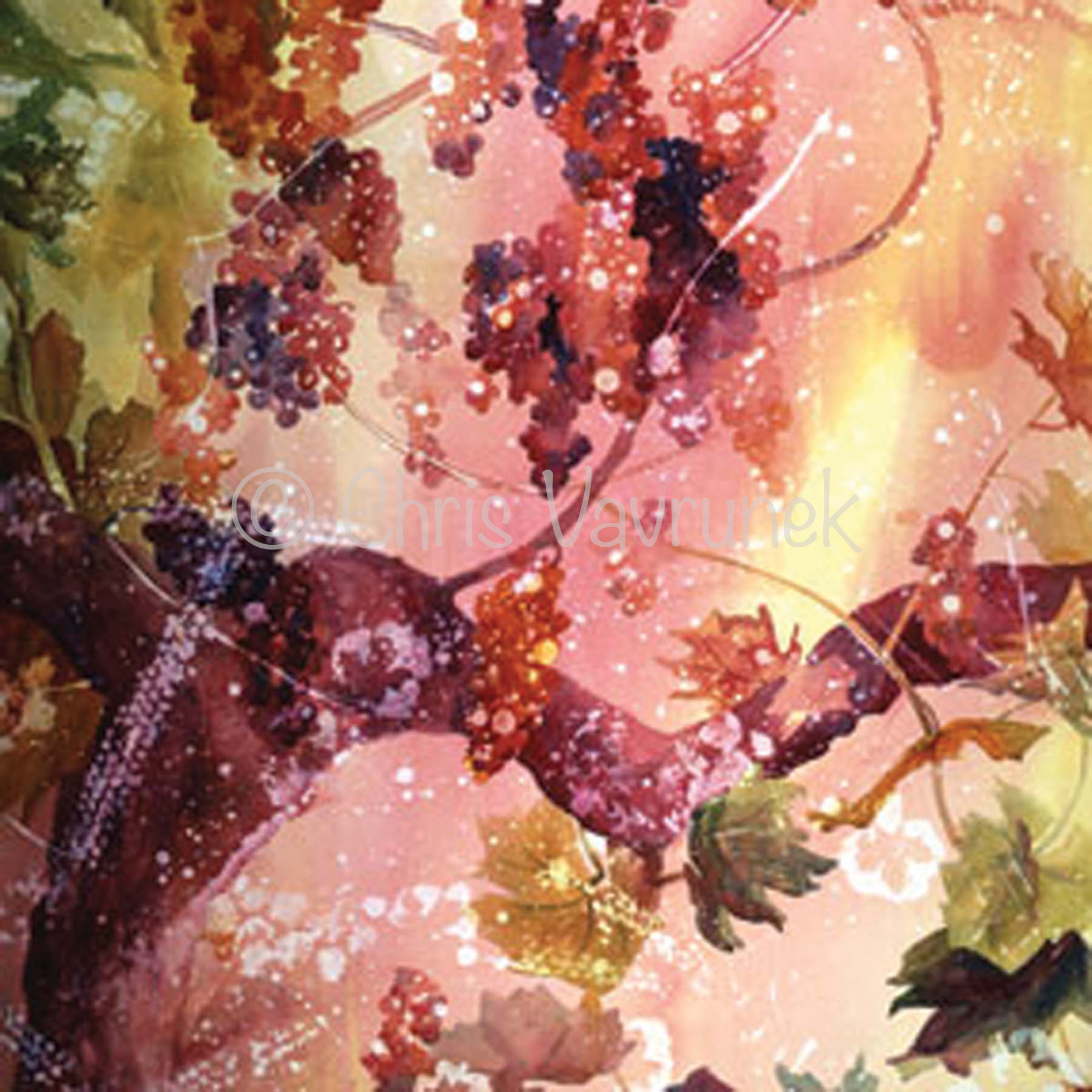  A8-15 - Visions of Grapes 