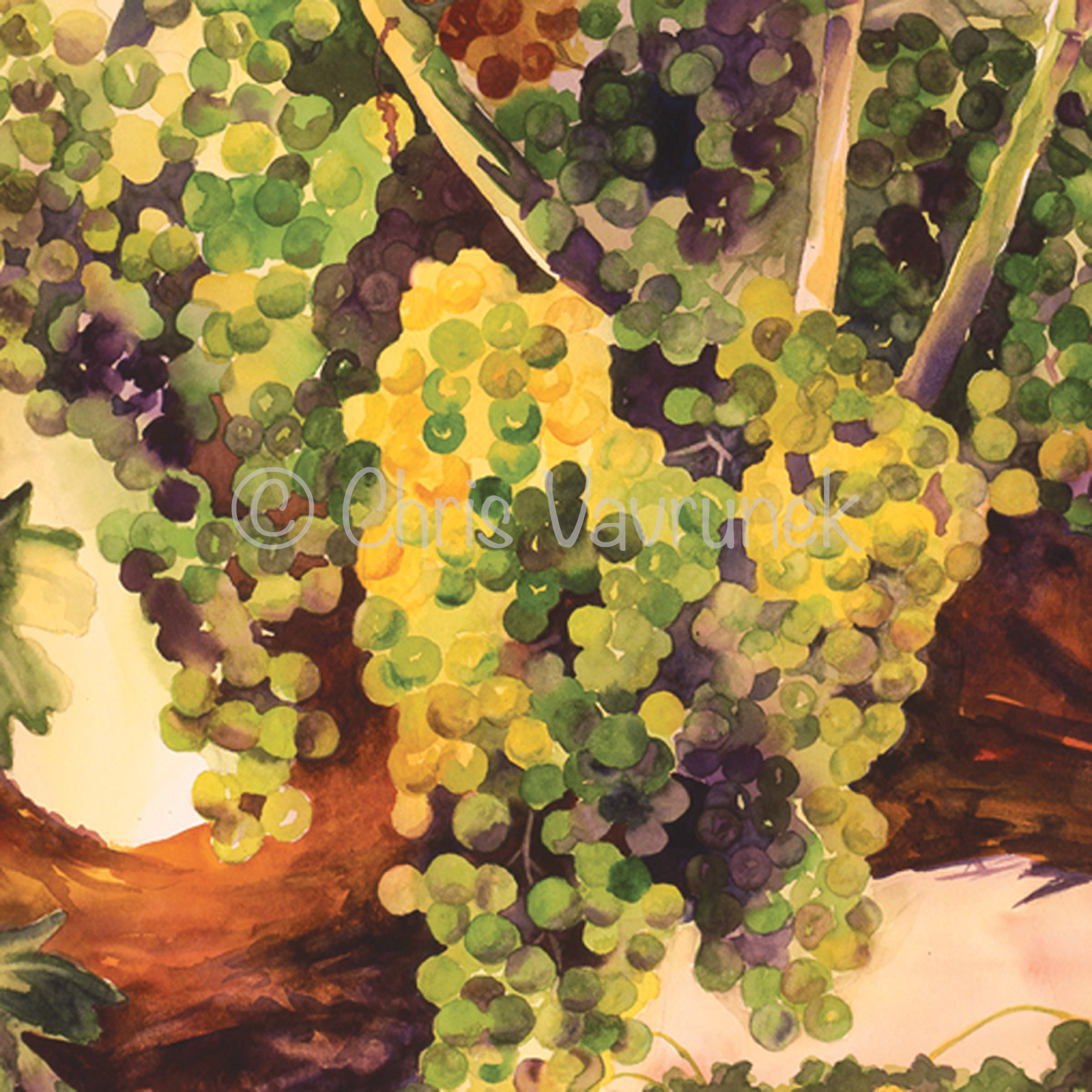  A8-05B - Hop Kiln Zin 