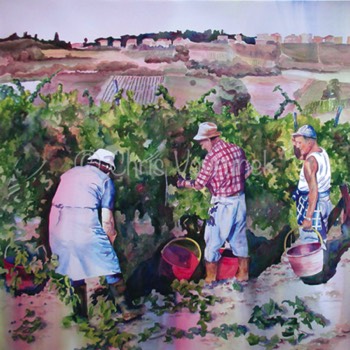  A9-04 - Harvest in Tuscany 